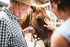 Older couple gently connecting with their horse in a calm rural setting, reflecting a peaceful and grounded lifestyle supported by Neurofeedback