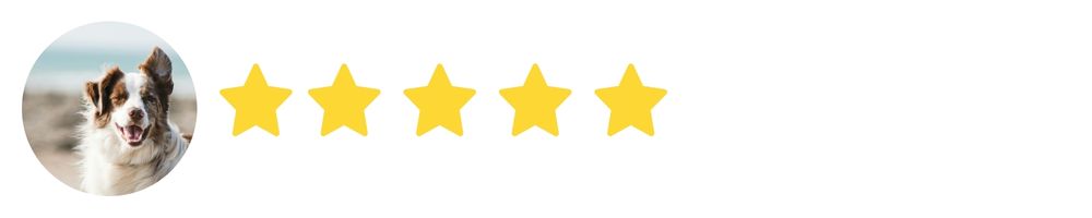 neuroptimal-neurofeedback-rental-review-4